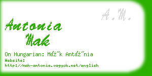 antonia mak business card